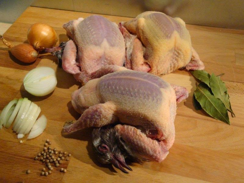 Pigeonneaux
