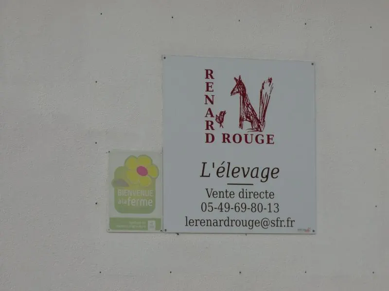 L'élevage du Renard Rouge